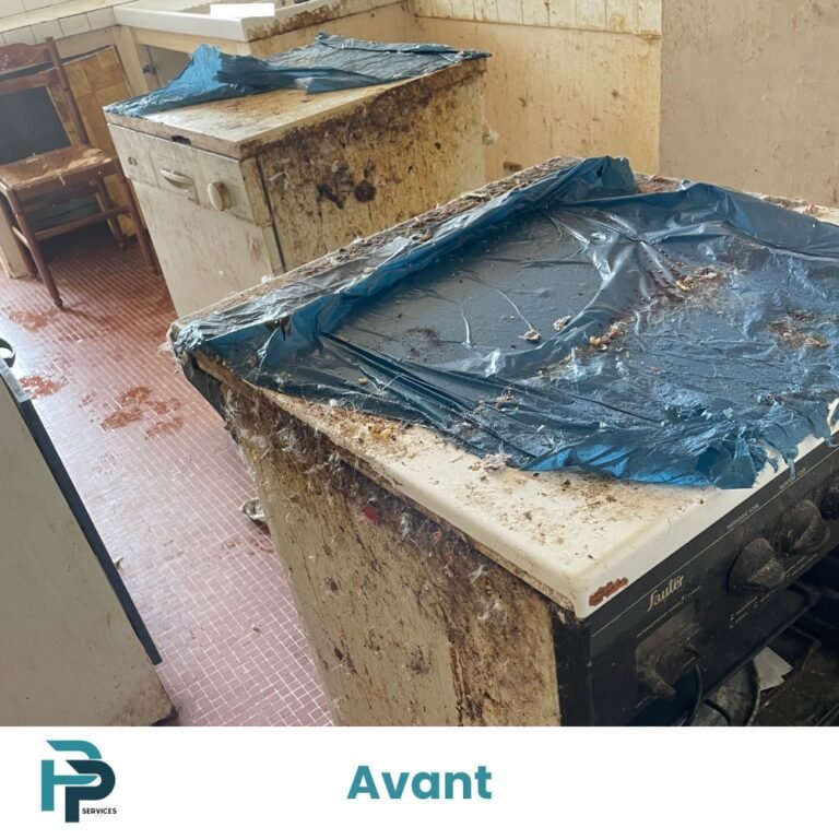 Avant nettoyage diogène toulouse